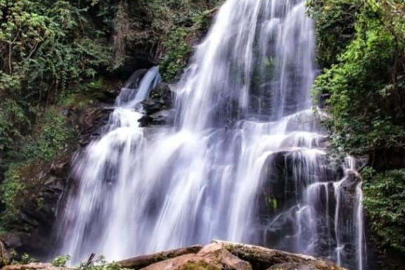 A waterfall cascades over rocks surrounded by lush green foliage.