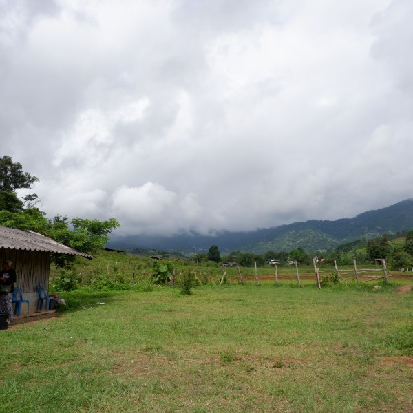 Rural scene with wooden hut, green field, cloudy sky, and distant mountains.