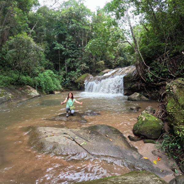 Person sitting on rock in river before small waterfall, surrounded by lush forest.