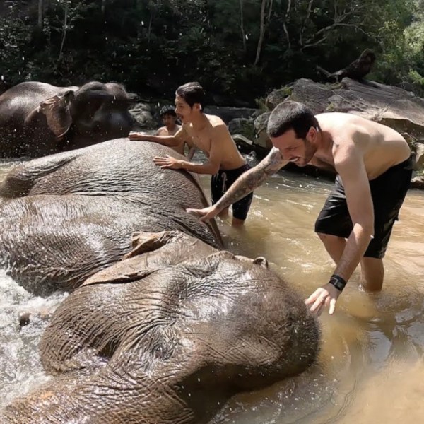 Two men bathe elephants in a river with trees in the background.