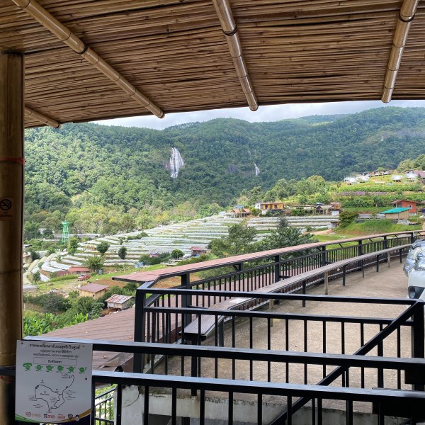 Hilly landscape with terraces, seen from a covered wooden patio with parked cars.