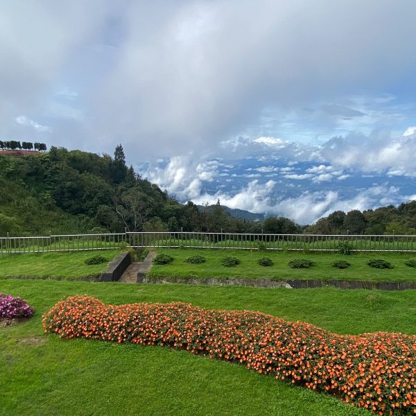 Upside-down landscape with flower beds, cloudy sky, and green grass.