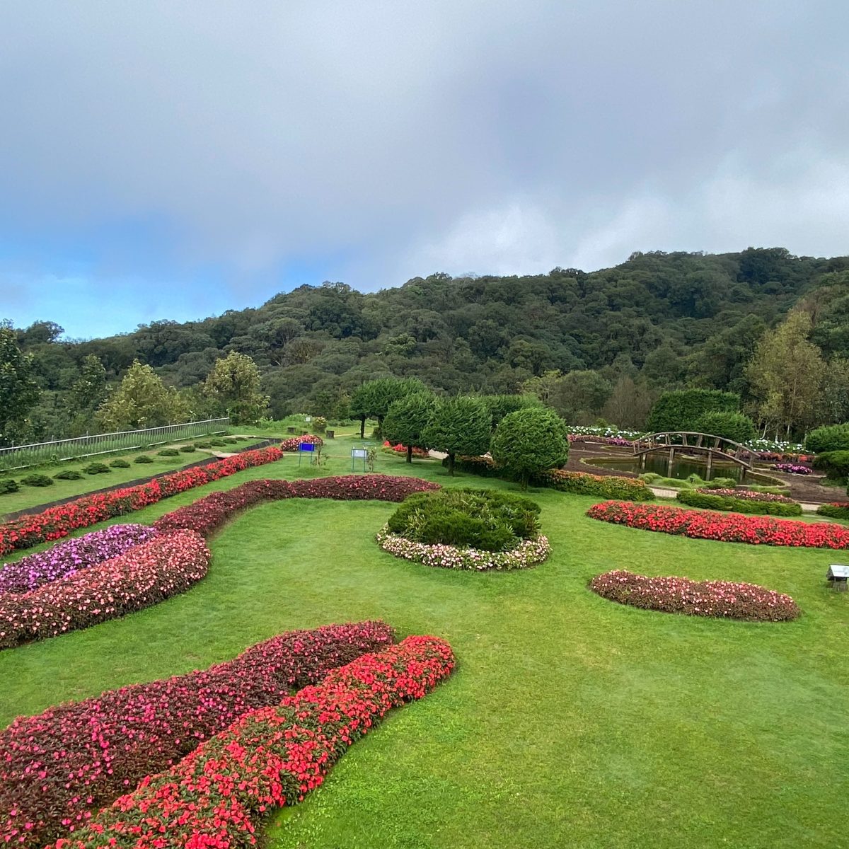 Garden landscape with colorful flower beds on a sunny day.