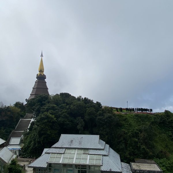 Upside-down image of a pagoda surrounded by trees and buildings under a cloudy sky.