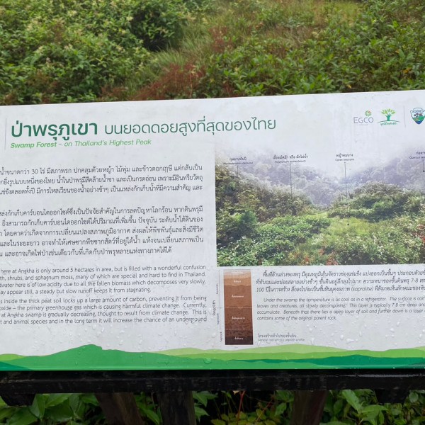 Informational sign about a forest, with text in Thai and English, against a backdrop of greenery.